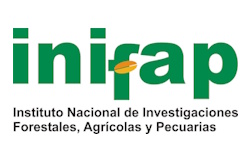 Patrocinador 6